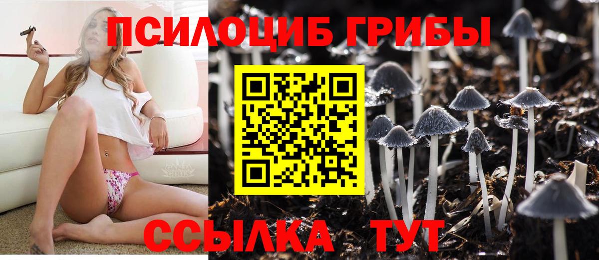 Галлюциногенные грибы GOLDEN TEACHER  Вход с VPN  Добрянка 